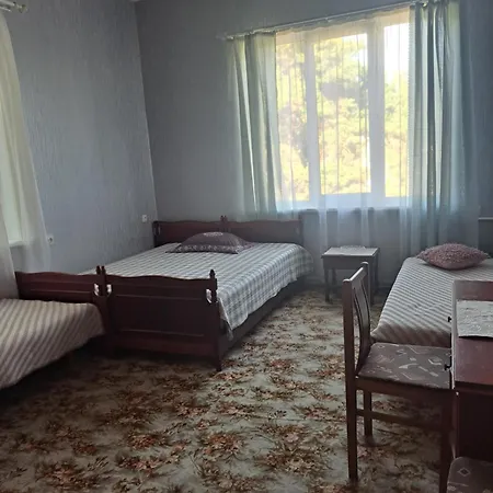 Gedimino Vilos Guest house Palanga