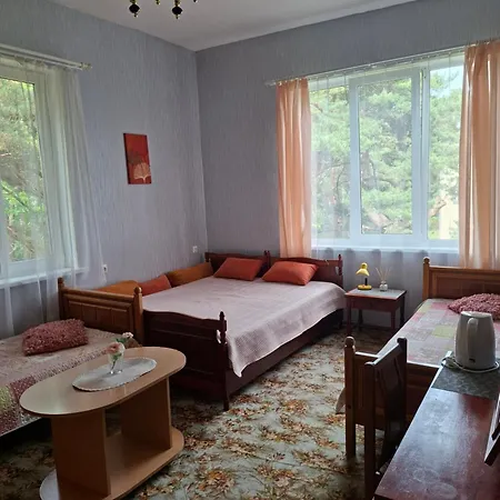 Πανσιόν Gedimino 6 *