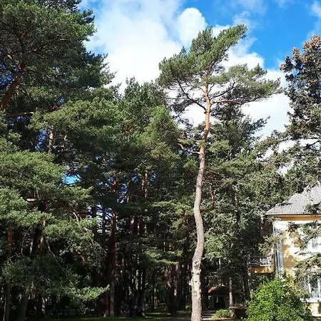 Gedimino Vilos Palanga